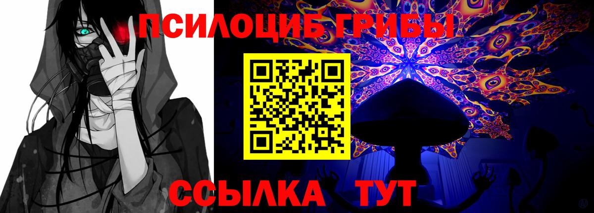 Псилоцибиновые грибы Psilocybe Шали