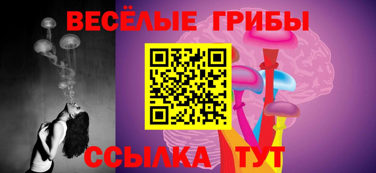 Шали  Псилоцибиновые грибы Psilocybine cubensis  Вход с VPN  Псилоцибиновые грибы прущие грибы 